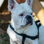 Программы лояльности казино без депозита - концептуальная иллюстрация