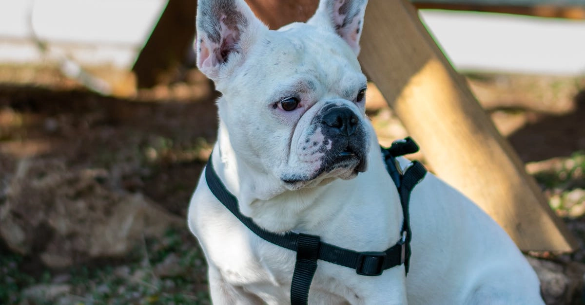 Программы лояльности казино без депозита - концептуальная иллюстрация