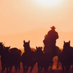 Тихий анализ слот-игры Wild West Gold для интровертов