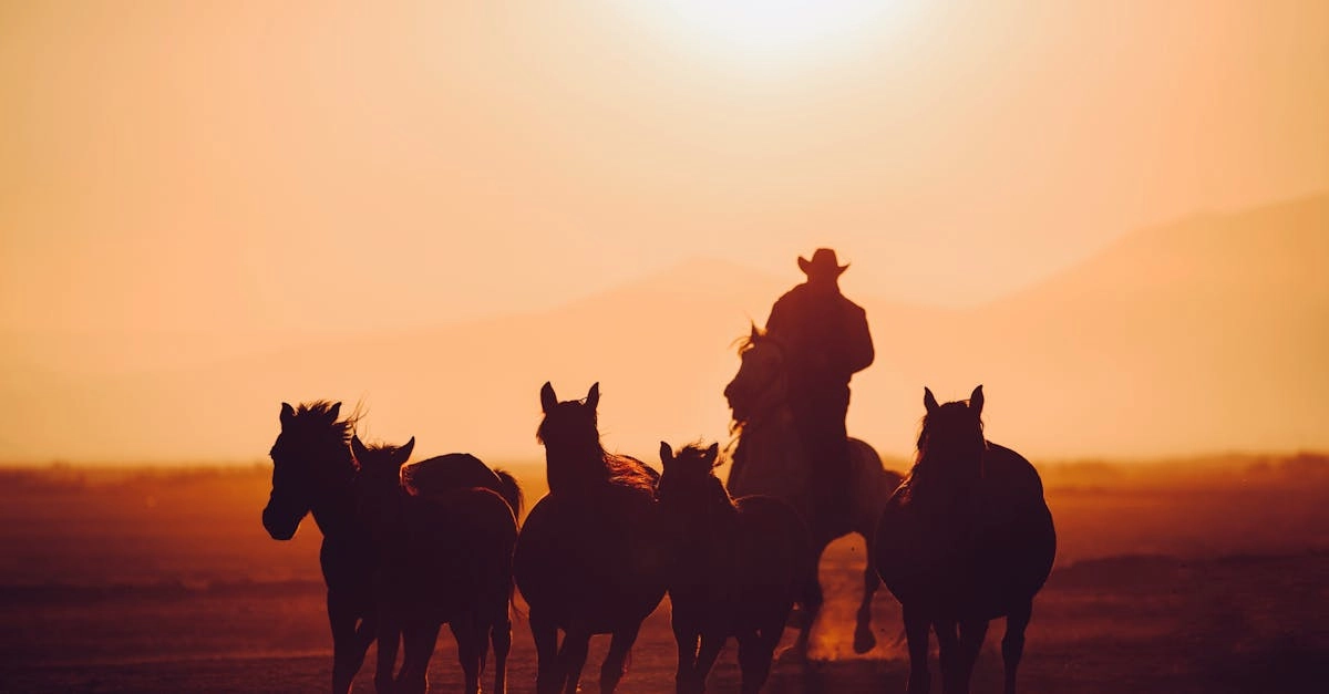 Тихий анализ слот-игры Wild West Gold для интровертов